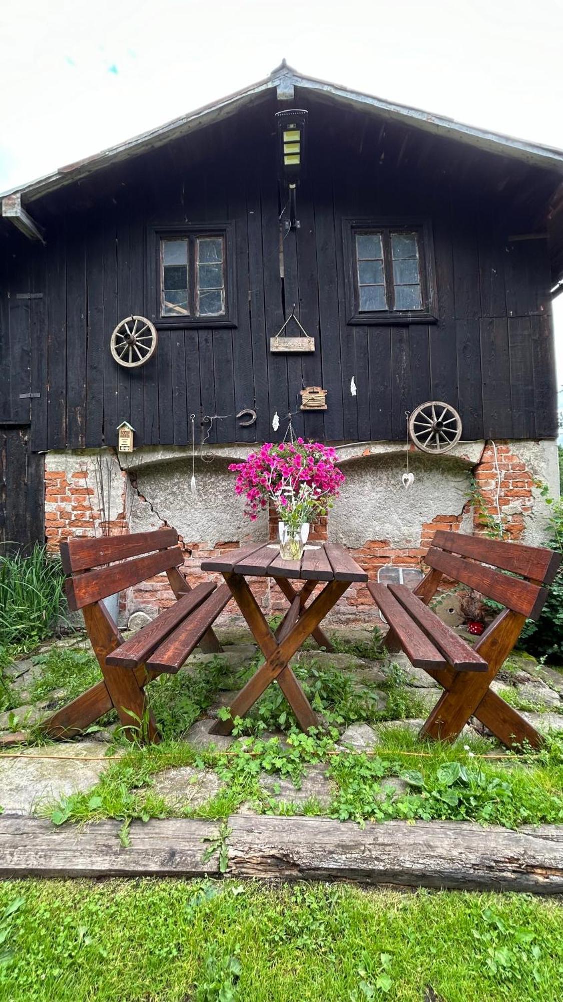 Apartamenty Goszowianka Stronie Śląskie المظهر الخارجي الصورة